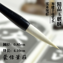 Four Treasures of the study s yang hao brush Xuan paper freehand painting flower-and-bird kai xing cao zhuan official script calligraphy