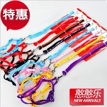 Small dog with high-quality patch chest-back leash set of dog chest-back leash rope set