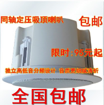 Suction Top Horn Ceiling Speaker Suction Top Sound Ceiling Acoustic Ceiling Trumpeter High Bass Embedded Coaxial Horn