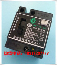 Xiaoshan leakage protector circuit breaker protector BFL18-20 32A (DZL18-20) 32A 2 phases