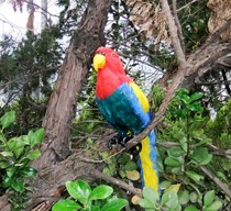 Forest series simulation feather parrot 45cm high pure handmade feather simulation bird pastoral home furnishings