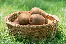 Xinjiang Tibet Shunfeng Replenishment Special Payment Motor Switch Battery Link