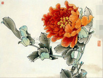 Work meticulous painting white drawing draft-Peony Chinese painting flower and bird painting living room painting figure painting homework painting *