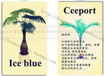 (Lucky card immediately have money)Zero limit cleaning card CEEPORT zero cleaning PVC card