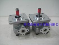 RGP-2A-F04 06 08 10R 11R 11R 12R 12R pump