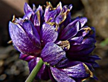 Store member sales management software store management system store commodity management software