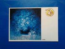 1992 New Year (with prize) postcard award-winning commemorative film White Rose new top-level physical photo