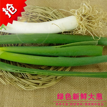 Fine green onions 500g Fresh vegetables Vegetable market Woxianhui fresh supermarket