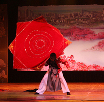 Custom-made 1 meter oversized dance handkerchief flower octagonal scarf for two people