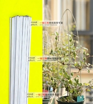 DIY new one shop Jiangnan white 2 meters wire flower plant clematis vegetable bracket