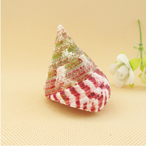 Natural conch shell Red tower snail pagoda snail Aquarium fish tank landscaping Coral ornaments Red-spotted bell snail creative gift