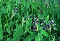 Jewelry sales management system Jewelry purchase and sale management jewelry sales management software.