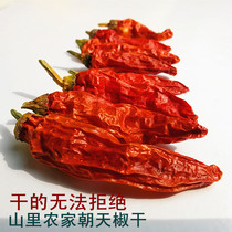 Shanli farmhouse self-planted chili dried chili pepper catering household cooking spicy accessories ingredients package super spicy condiments