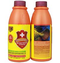 With ticket Hong Kong Q brand magic No. 1-Indonesia plant extract Arowana for export