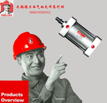 Delixi Pneumatic Components Standard cylinder SC 125X100 physical store]