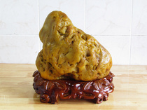 Modeling strange stone Sanjiang yellow wax stone original stone ornamental stone ornamental stone ornaments Golden Dog