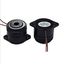 Manufacturers supply 24V 2910 buzzer lead buzzer chiller special buzzer quality assurance