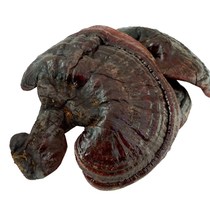 Weihuling Changbaishan Specialty Semi-wild Purple Ganoderma Lucidum Pruned Ganoderma Lucidum