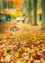 Childrens photography background cloth outdoor landscape grass green theme 100 days photo studio baby photo background paper 1008