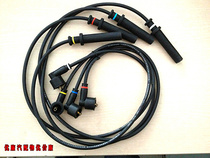 Suitable for southeast dellica Fulica Dongfeng Wind-wise EQ491 engine high voltage wire component firing line