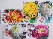 Phone card collection card-Autumn chrysanthemum color (5 full)