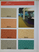 PVC vinyl flooring hospital Business Office School indoor floor Tianyi dragon 6 hao 1 6mm