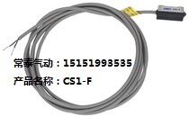 Boutique Yadek type magnetic switch Induction switch CS1-F CS1-U CS1-S CS1-J CS1-G