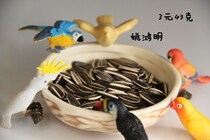 Great melon seed parrot complementary food salt-free melon seed Parrot Bird grain Wren Eastberry bird food Yao Hongming