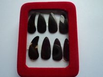 Natural material boxed Guzheng nails