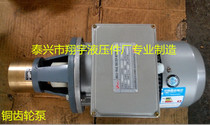 CB-B10HAXP copper gear pump Hot melt adhesive copper gear pump Copper gear oil pump Gear pump