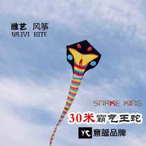 New product special price domineering classic 30 m snake king snake kite breeze easy flying Yicheng brand Weifang kite