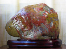 Picture strange stone Sanjiang stone Sanjiang color jade original stone ornamental stone ornamental stone ornamental color autumn