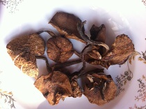 Changbai Mountain pure wild hazelnut mushroom chicken stewed mushroom Special own forest class picking