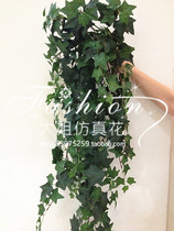 High-grade (simulation Ivy Leaf) simulation leaf Changchun Vine decoration green plant wall material