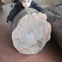 Authentic Indonesian sandalwood log large stock Old stock to be approved
