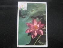 1960 Foreign edition of flower personalized stamps-Horflower limit sheet