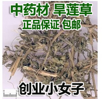 Dry Lotus Grass Ink Dry Lotus Glossy Privet Tea Drinking 500 gr Wholesale