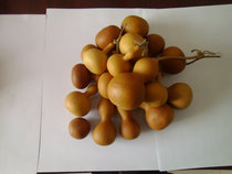 Fulu edge gourd base various shapes natural small gourd hand twist gourd special price 1 yuan a