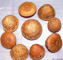 () Guangxi wild wind fruit 500 grams of Balanus Tianzhu grain increased rattan fruit