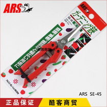 Japan original imported Alice ARS SE-45 stainless steel fruit cut fruit picking bonsai tool