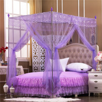 New 3-door palace mosquito net floor-to-ceiling stainless steel bold three-door princess student arch