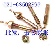 Core expansion core expansion screw Hammer nail gecko (color) M6X45-M20X230