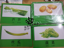 Kindergarten teacher teaching aids card * childrens early education card understanding fruit and vegetable picture magnetic matching
