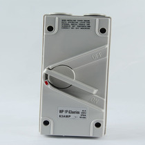 Waterproof isolation switch Outdoor 1P63A440V waterproof load switch Outdoor waterproof switch Industrial switch