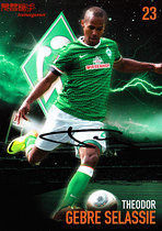 Czech Republic feet Gressella Siunda Bremen 2013-14 season pro-autograph official card