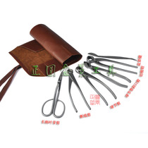 Positive Round Dragon Tooth Bonsai Tool Suit Small Roll Pack Suit Stainless Steel