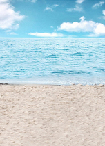 Beach Sea View sky children photography background cloth theme 100 days photo studio baby photo background paper 1413