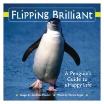 Penguins Guide to a Happy Hardcover:Penguin Happiness Guide(Small album)