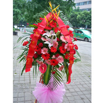 Shanghai flower shop opened flower basket opening flower basket-celebration flower basket housewarming flower basket-City distribution
