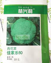 Jijiale 80 broccoli seeds vegetable seeds in early maturing broccoli seeds high spherical non-scattered flowers